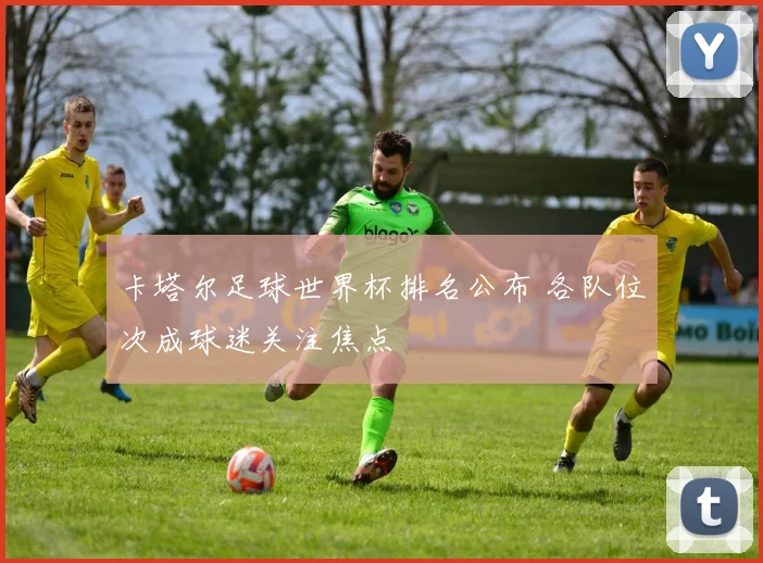 卡塔尔足球世界杯排名公布 各队位次成球迷关注焦点
