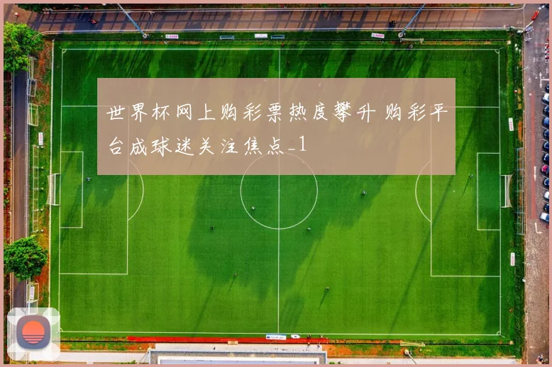 世界杯网上购彩票热度攀升 购彩平台成球迷关注焦点_1